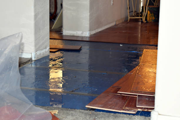Professional Sewage Cleanup technician working in Runnells, IA